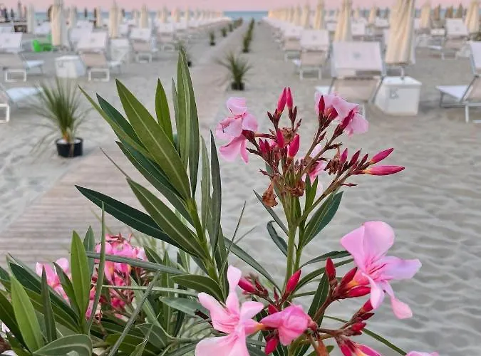 Saraceno With Private מלון