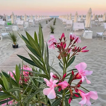 Saraceno With Private Hotel