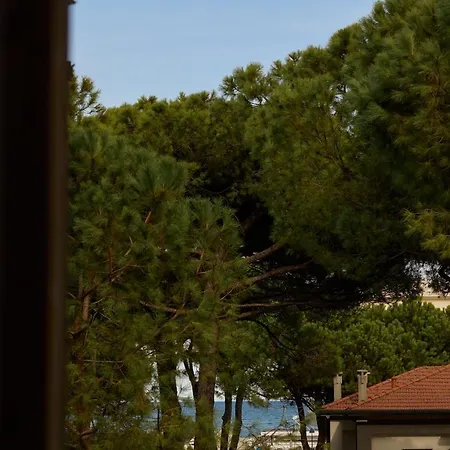 Saraceno Milano Marittima