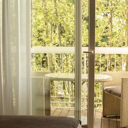 Saraceno With Private 4*