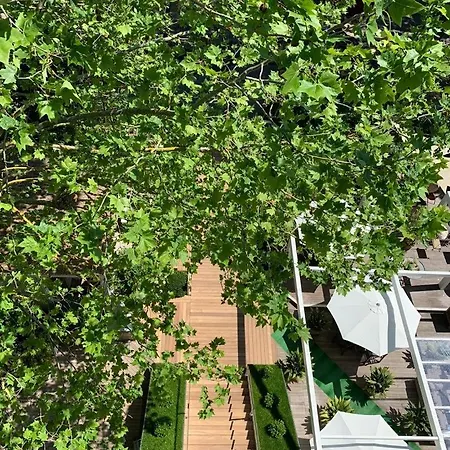 Saraceno With Private Hotel Milano Marittima