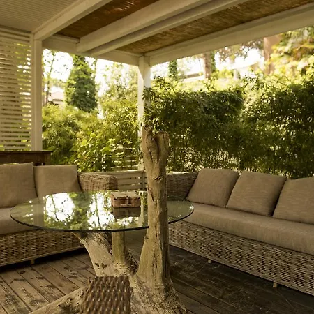 Saraceno With Private Hotel