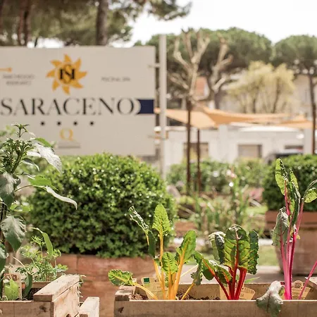 Saraceno With Private Hotel