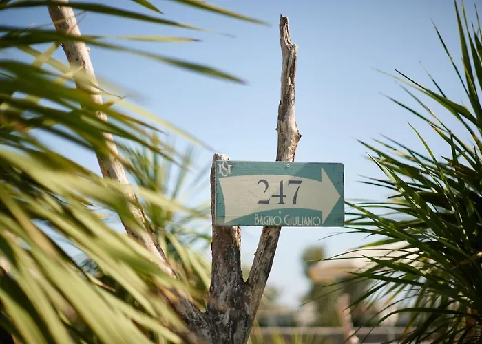 Saraceno With Private Milano Marittima