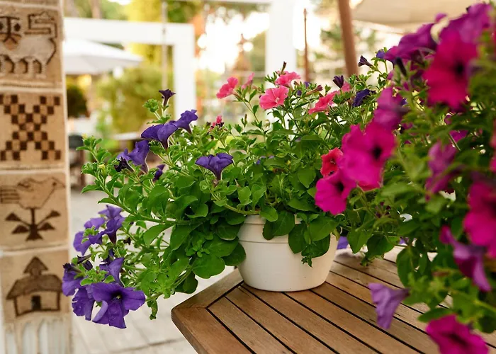 Saraceno With Private Hotel Milano Marittima