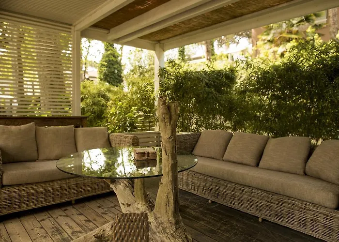 Saraceno With Private Hotel