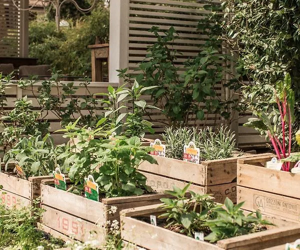 Saraceno With Private Hotel 4*