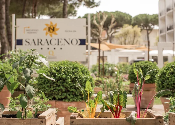 Saraceno With Private Hotel